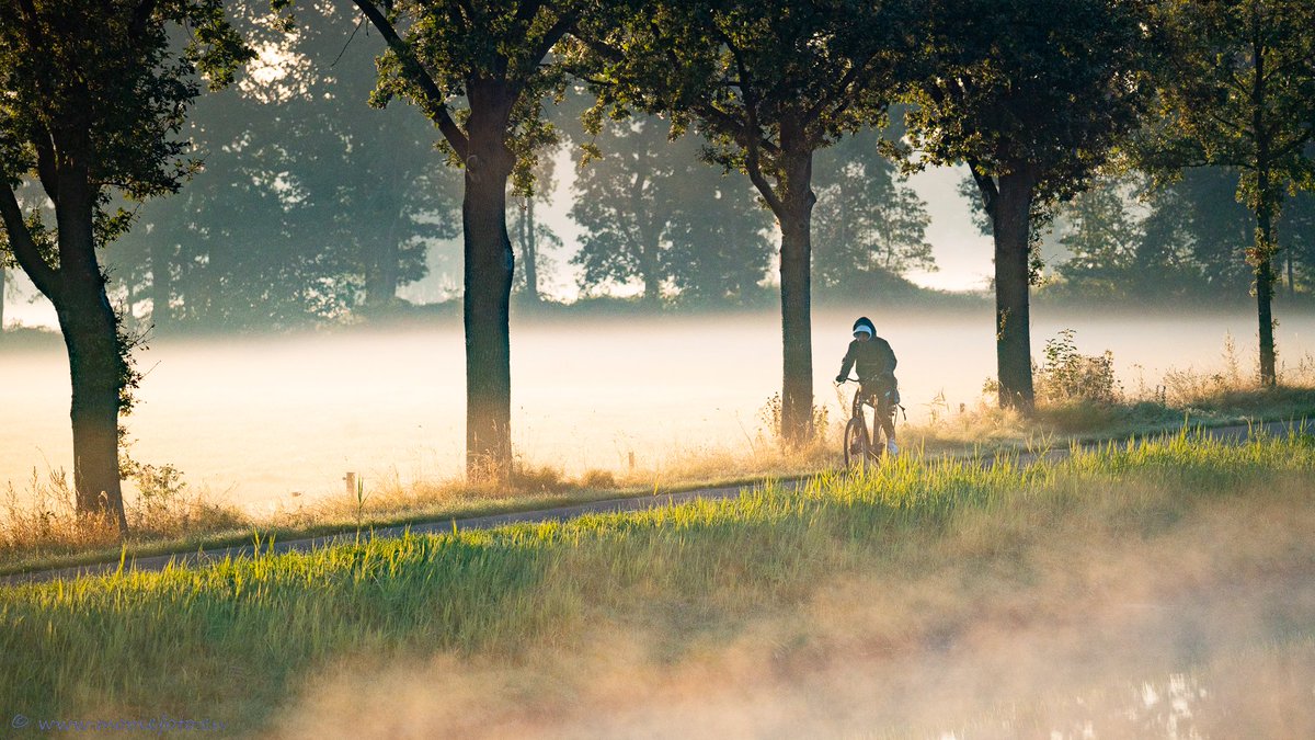 zeevogel5's tweet photo. Langs het vallei kanaal in de vroege ochtend, de zon is net op. Koude handen, 4 graden boven nul, maar het is de moeite waard. https://t.co/Ohcx1FnFvT
