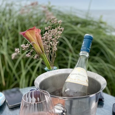 Bunnyconnellan Cork tweet media