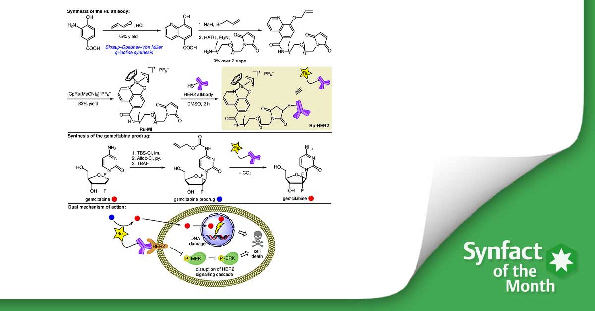 ❇️ In this Synfact of the month <a href="/DirkTrauner/">Dirk H. Trauner</a> from <a href="/nyuchemistry/">NYU Chemistry</a> highlighted the ´Targeted Chemotherapy Using in Vivo Transition Metal Catalysis` by Mao Z.-W. and co-workers from Sun Yat-Sen University.🧐 
👉 fal.cn/3s8qc