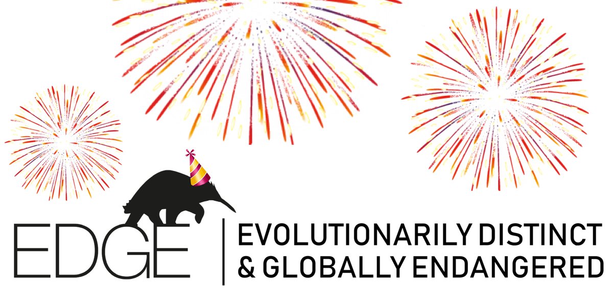 EDGEofExistence's tweet photo. This year marks 15 years since the EDGE of Existence programme was launched in 2007!
Join us every Friday to celebrate this amazing achievement with our #15FootstepsForward series, where we will be sharing 15 success stories that the EDGE program and Fellows have achieved! https://t.co/zPbXYKXe93