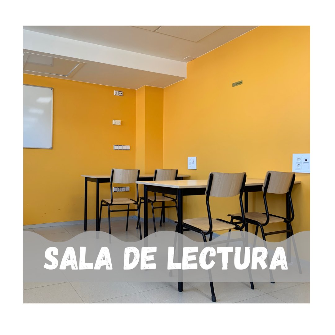 cnhelios's tweet photo. SALA DE LECTURA
🧑‍💻¿Sabías que en Helios hay un aula de lectura? ¡Es la sala perfecta para preparar exámenes y hacer deberes!
👉Amplias mesas, enchufes para cargar tu ordenador... y silencio
📚Y tú, ¿utilizas algún método para concentrarte estudiando? ¡Cuéntanoslo en comentarios! https://t.co/422nrl9ti6