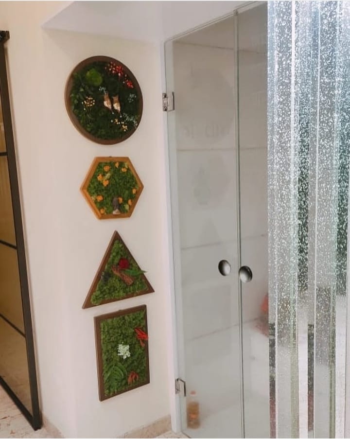 myBageecha's tweet photo. Client Diaries … Our customer Ravi sent us this lovely display of our moss frames. We loved, how it was arranged.
#myBageecha #clientdiaries #FridayVibes #Friyay #realmoss #walldecor https://t.co/kEWuPXmbCL