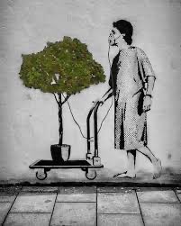 MOSESCharityOr1's tweet photo. Before it goes too far let's work together by planting more trees
#actionNow
#ClimateEmergency
#FridaysForFuture
#PeopleNotProfit
#saveForest27
#Endwheelchairpoverty
#SaveSoilSaveLife
#SitForClimate
#Action
#SaveTheRhino
#moneyWillBeuseles
https://t.co/4dcMrDI0X2 https://t.co/YuA0GaQNIA