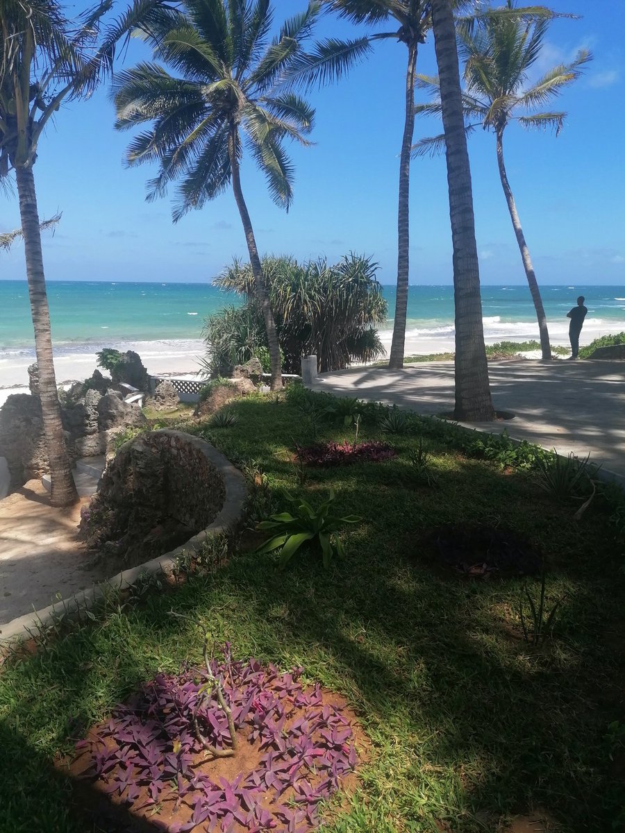 inamohaa's tweet photo. When all tree are down.
When all animals are dead,
When all waters are poisoned,
When all the air is not safe to breathe,
Only then shall we know that
            You can not Eat Money.
Let's all take care of our environment before it pays us back negatively.
#ClimateActionKilifi https://t.co/X8dg3JVcC6