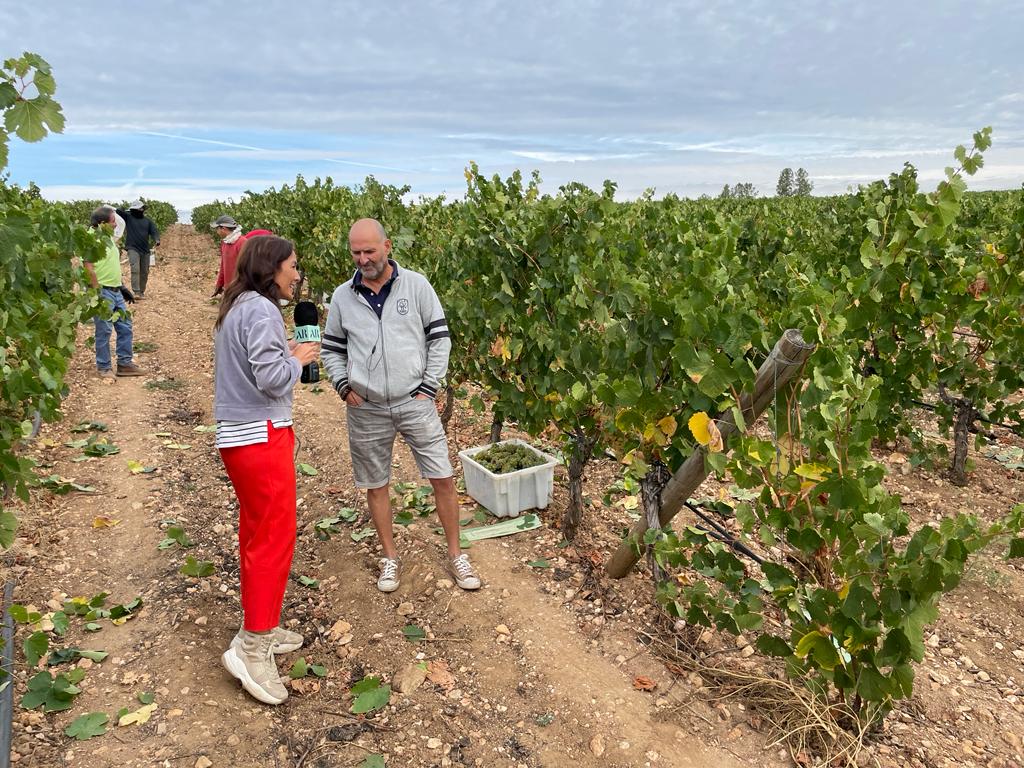 CRDOValdeorras's tweet photo. 👉Un equipo de @elprogramadear visitou hoxe un viñedo emprazado na Portela, no Concello de Larouco, para realizar unha conexión en directo sobre o #TempoDeVendima na comarca na que participou o director técnico do noso Consello Regulador. https://t.co/3TXAhc4W9K