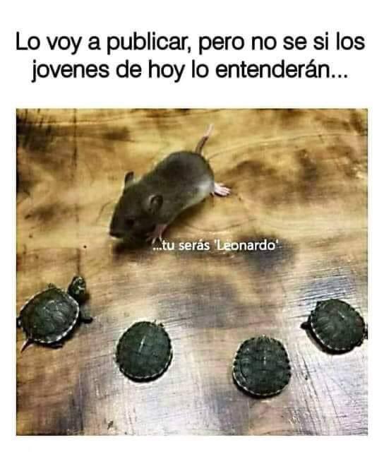 Yo creo que si entenderán