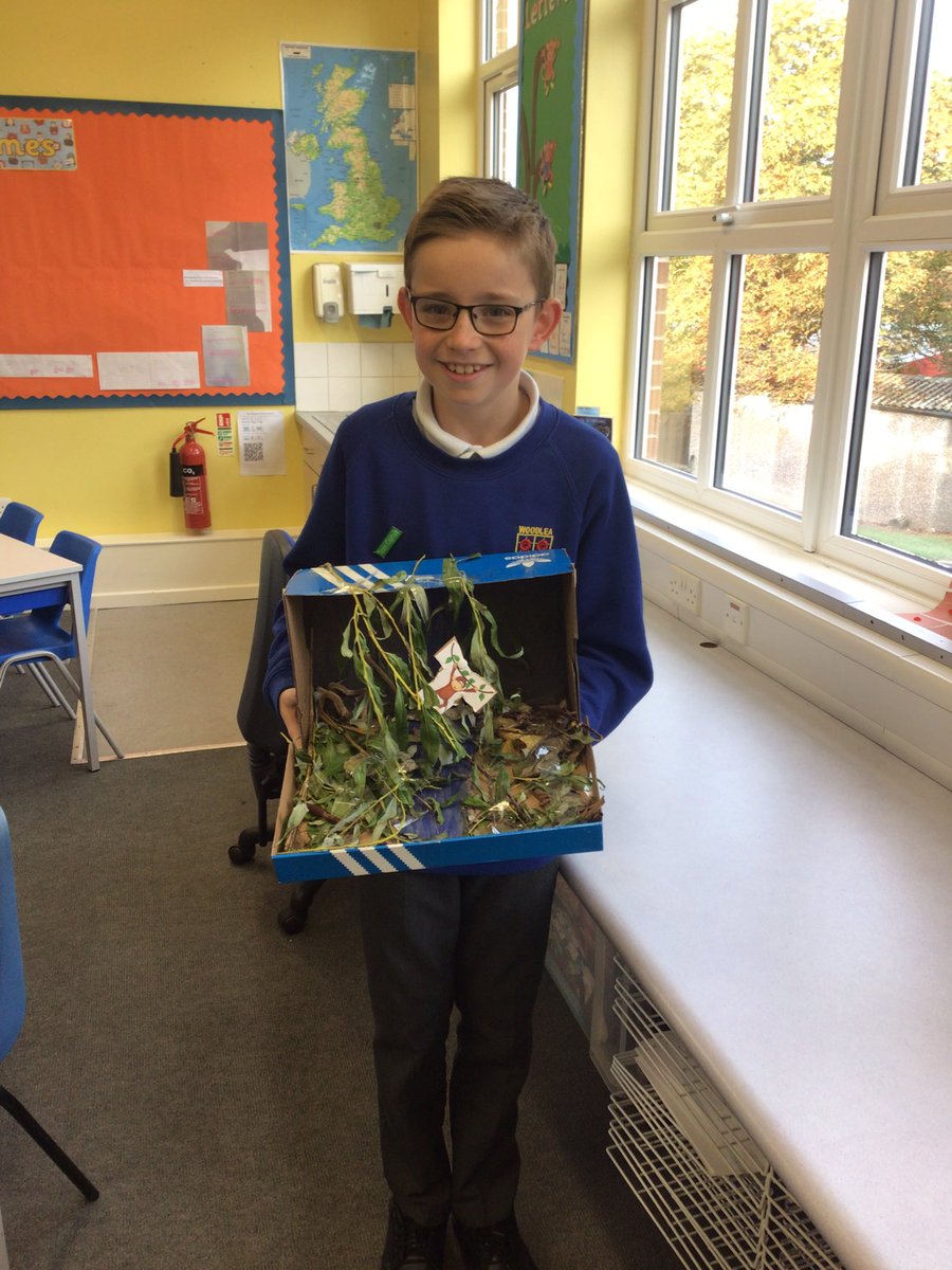 woodleasnow's tweet photo. This week we have had done fantastic endangered animal themed project homeworks! Keep them coming in! #WJSEnrich https://t.co/hcwqkPURA8