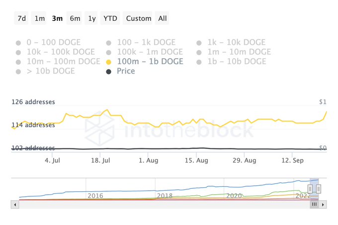 Dogecoin Whales