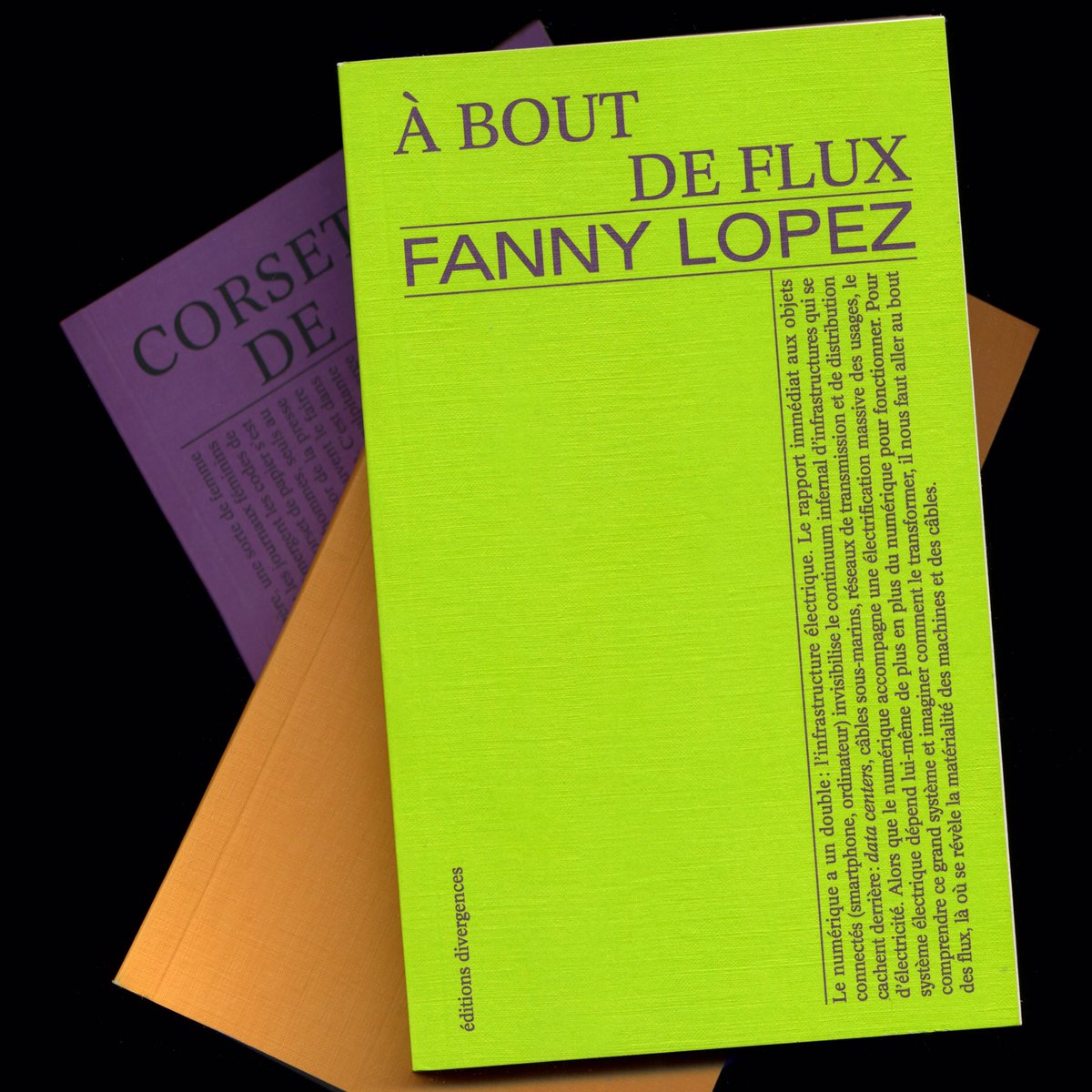 EDivergences's tweet photo. « À bout de flux » de Fanny Lopez est maintenant disponible en librairie et sur notre site internet ! 

#electricité #énergie https://t.co/AmwO2THvaQ