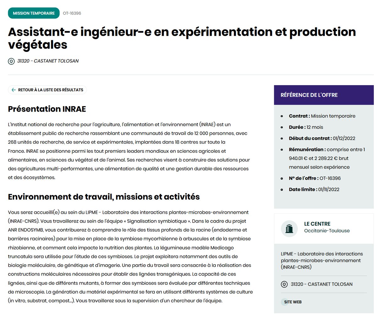 LIPME_Toulouse's tweet photo. [#Job] L'équipe #LIPME_SMS recrute un-e Assistant-e ingénieur-e en expérimentation et production végétales en CDD, 12 mois, à partir du 01/12/22

☑️Projet ANR qui vise à étudier la mise en place de symbioses racinaires🌱🦠.

☑️Niveau requis: Bac+3

🔗https://t.co/YYc2HnVi6O https://t.co/nOW6y3OB3B