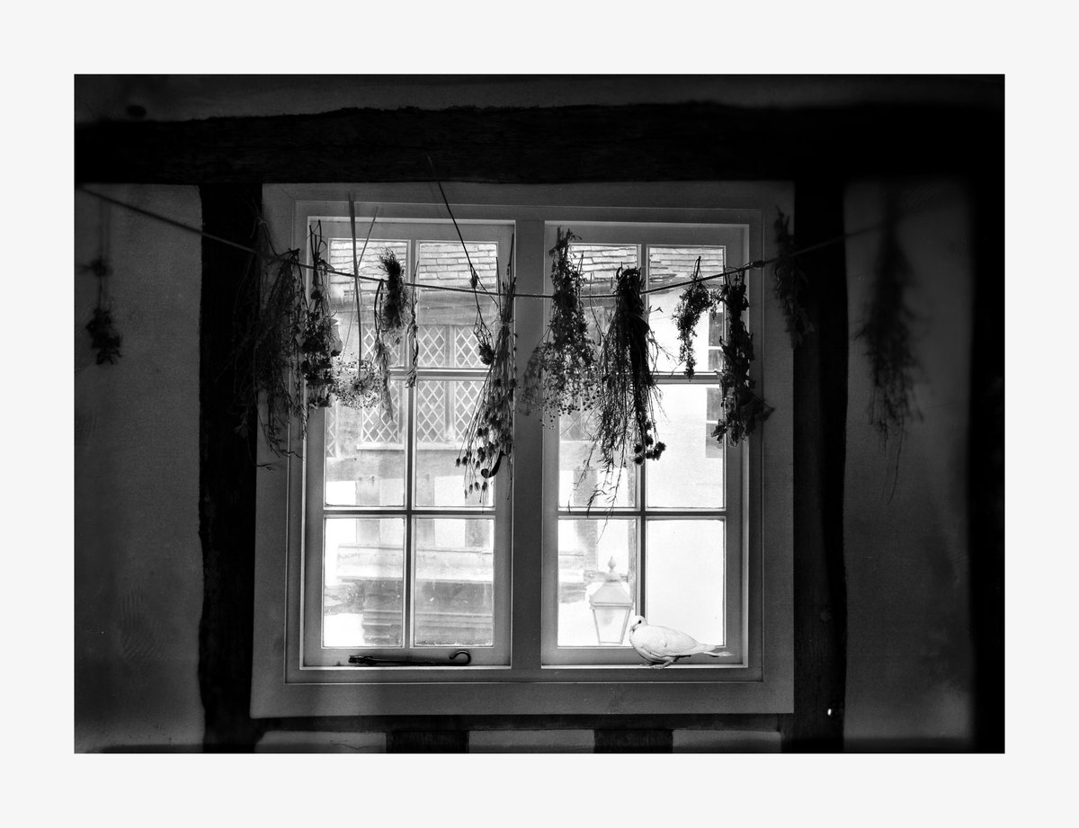 Caymanmamma's tweet photo. #photography
#summermemories
#blackandwhitephotography
#Worcester
#thecommandery https://t.co/WcG2QmlmRK