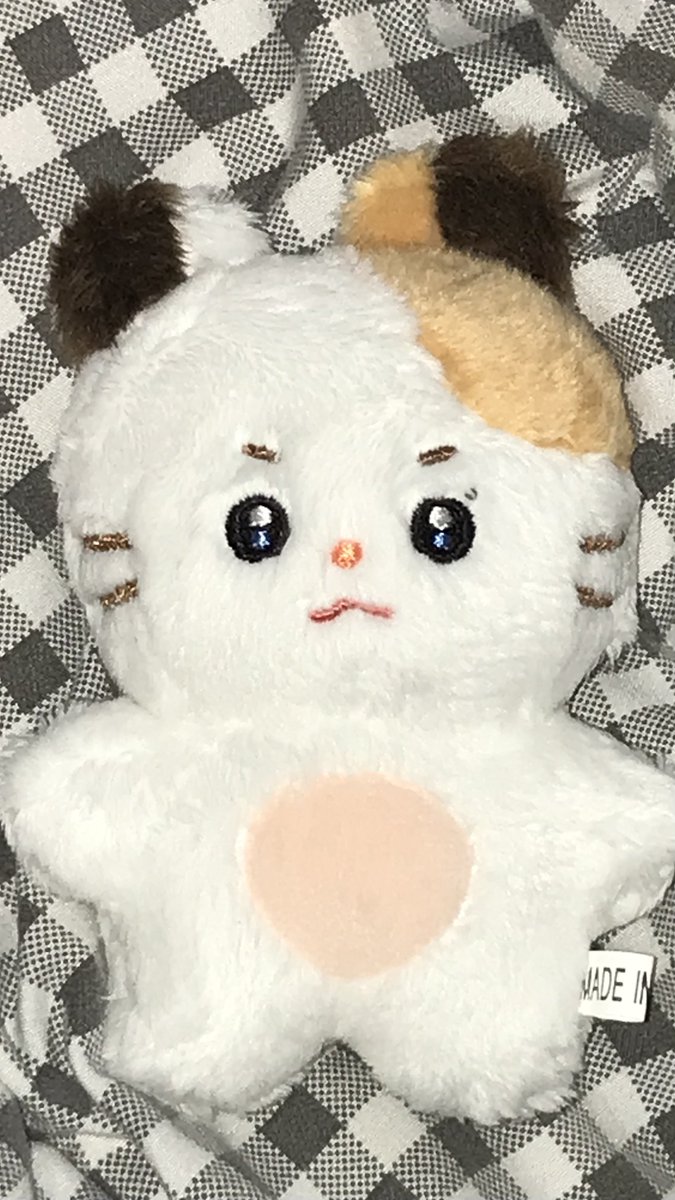 이거다
콩찌같은눈빛