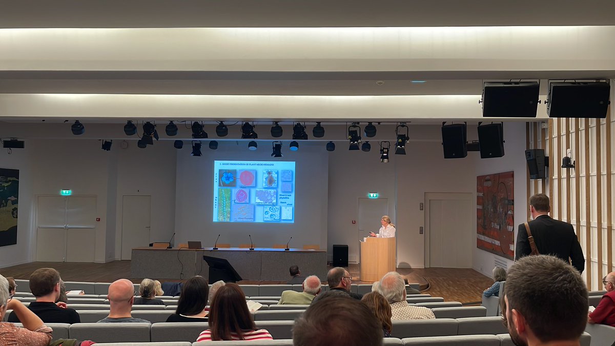 Origins7Paris's tweet photo. Our next paper is from Aline Emery-Barbier talking about micro-plant remains, and how they provide information about production. #Origins7Paris https://t.co/87hNNslykN