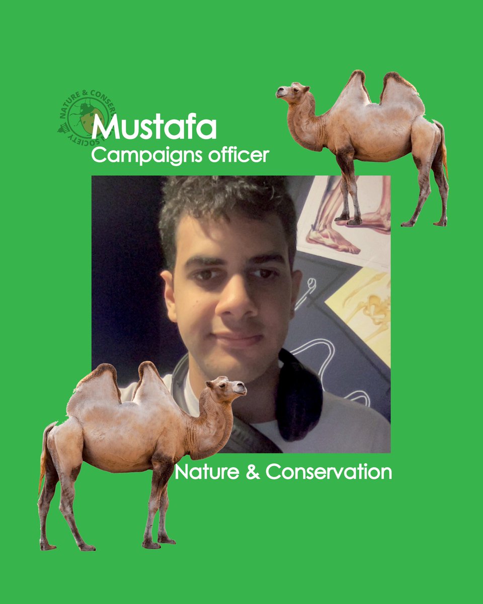 UCL Nature & Conservation Society tweet media