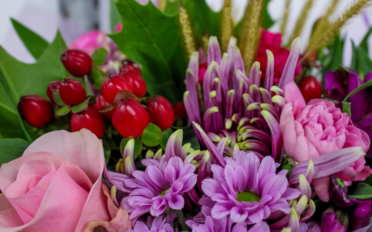 PostaRose's tweet image. We can't wait for all the rich autumnal tones as the seasons start to change 🍂

Browse our autumn range now rb.gy/6tga6y