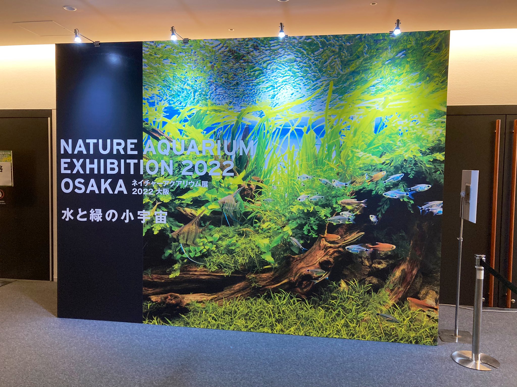 ネイチャーアクアリウム展 22 大阪 Aquariumnature Twitter