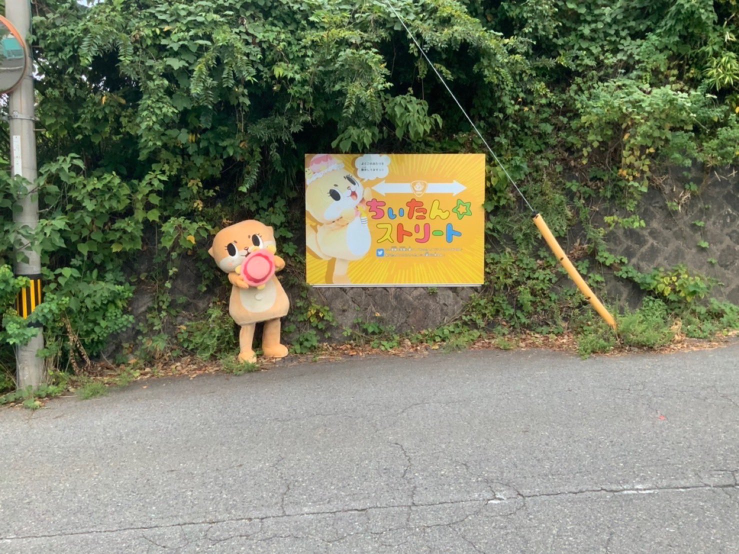 ちぃたん☆/Chiitan on X: ちぃたん☆/Chiitan on X: