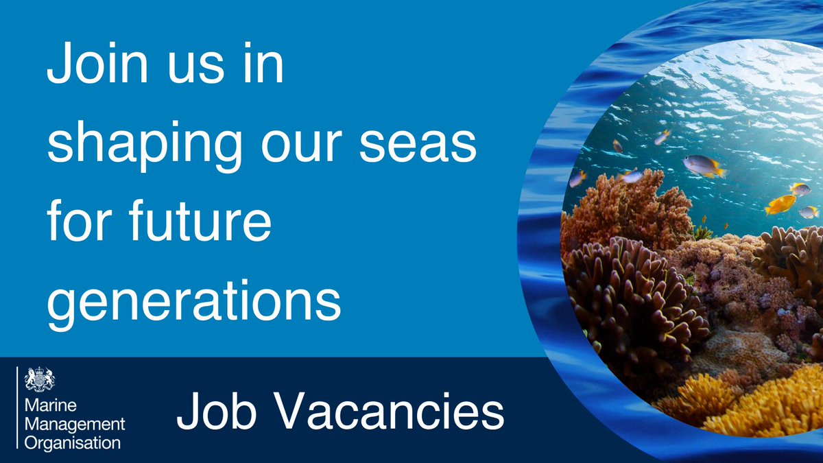 Marine Management Organisation tweet media