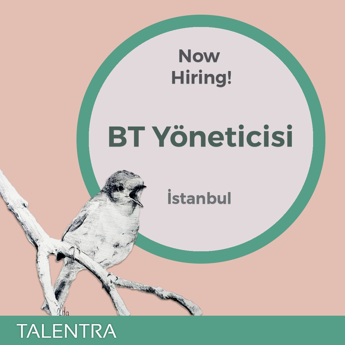 Türkiye’nin önde gelen bankasının çalışan ve emeklilerine sosyal güvenlik hizmeti veren kurumu için BT Yöneticisi arıyoruz. To Apply: talentra.net/Jobs/Detail/bt… #nowhiring #işilanı #btyöneticisi #itmanager #bankacılık #banking #jobsearch #talentra #talentrajobs