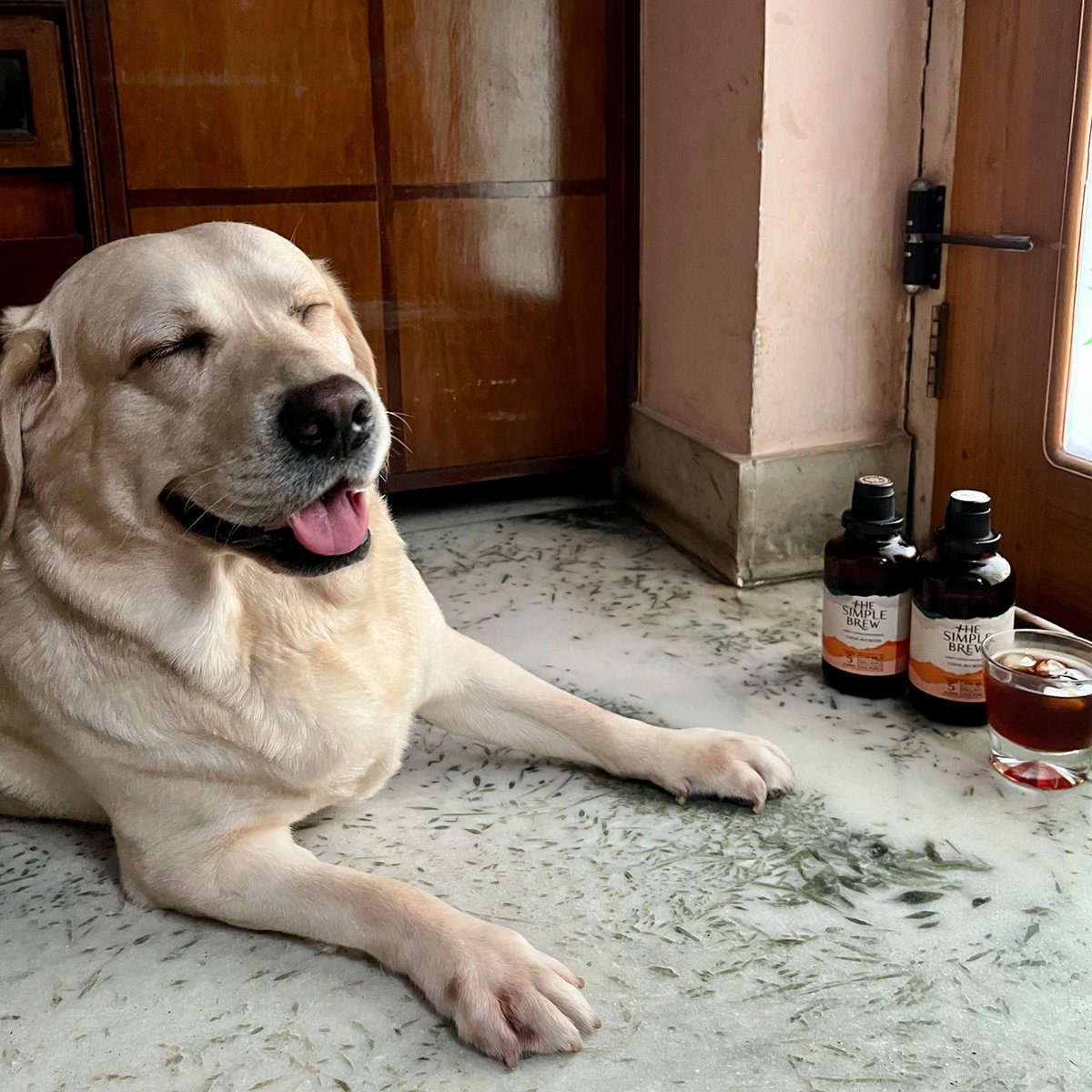 brewitsimple's tweet photo. Nothing much to see here. Just Bruno wishing all of you out there a happy weekend!
Order now on Swiggy Minis - https://t.co/M1q9jj4vIh
To know more about us, visit https://t.co/zs6Ix4LLlb
πΈ : @debabratabaishya
#thesimplebrew #simplebrew #coffeeconcentrate #brewcoffee https://t.co/F6nN7zwiDs
