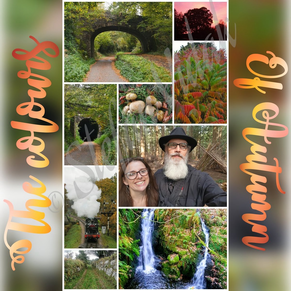 StefanLVidak's tweet photo. The colours of Autumn.
What's your favourite season? 
🌿🍁🍂🍃🌲🌿🍁🍂🍃🌲
With @sianvidak #author #10kids #miniexplorers #autumn #equinox #fall #colours #seasons #change #life #lifecycle #nature #inspiration #getoutdoors #homeeducation #fungi #foraging #photography https://t.co/S3dxQUbWE3