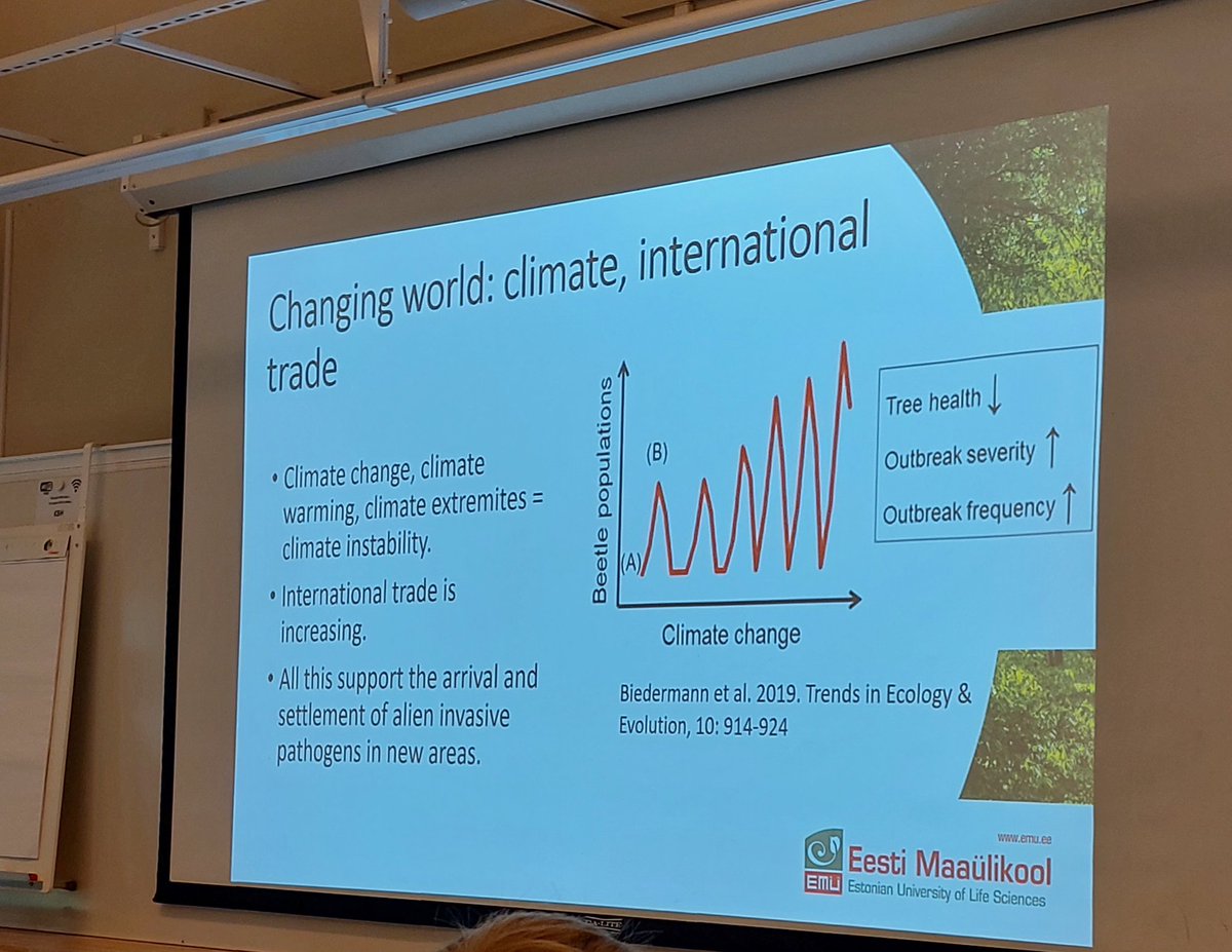 mycopat's tweet photo. Rein Drenkhan invasiva pathogens in a changing world and the work on #ForestPathogens in Estonia and Europe @jan_stenlid https://t.co/A8YYcUtseg