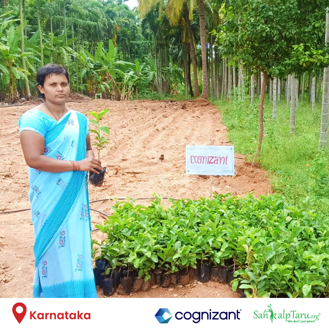 Sankalp_Taru's tweet photo. Reducing Carbon Footprint to Zero requires effort & consistency!
π§π»βπ€βπ§π½
Tree Gifting as a part of the #MyNetZero Initiative by @cognizant in partnership with us is a step taken to inspire sustainable action against Climate Change & uplift the rural livelihoods
#ClimateChange #Rural https://t.co/qC9E11L5xF
