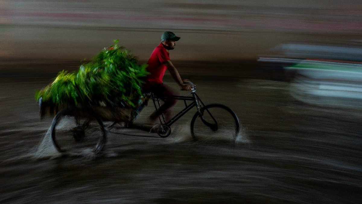 moneycontrolcom's tweet photo. #ThisWeekInPics | From flooded #Delhi streets to Made in China Union Jacks to honour #QueenElizabeth— take a look at some frames of the week.
#InPics 📸👇
https://t.co/n2Bo3OXBFc
#DelhiRains #MadeInChina #Kashmir #UK #Manila https://t.co/xM2AOa4Xr3