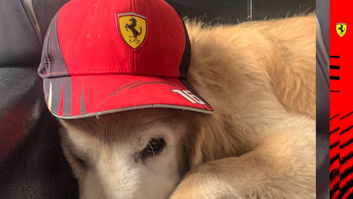 ScuderiaFerrari's tweet photo. https://t.co/JsRQIGM4GH