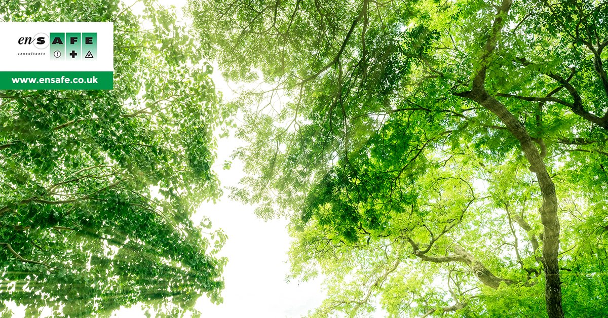 EnsafeConsult's tweet photo. It is the responsibility of everyone to work towards a healthier planet, and at Ensafe, our expert Geo-Environmental services means all of your work is carried out in a way that supports the environment, and you. 

Book your consultation with us today: https://t.co/T2E5bEJWKS https://t.co/uR47CVaRTi
