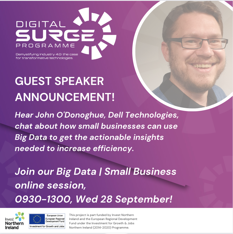 The Digital Surge Programme tweet media