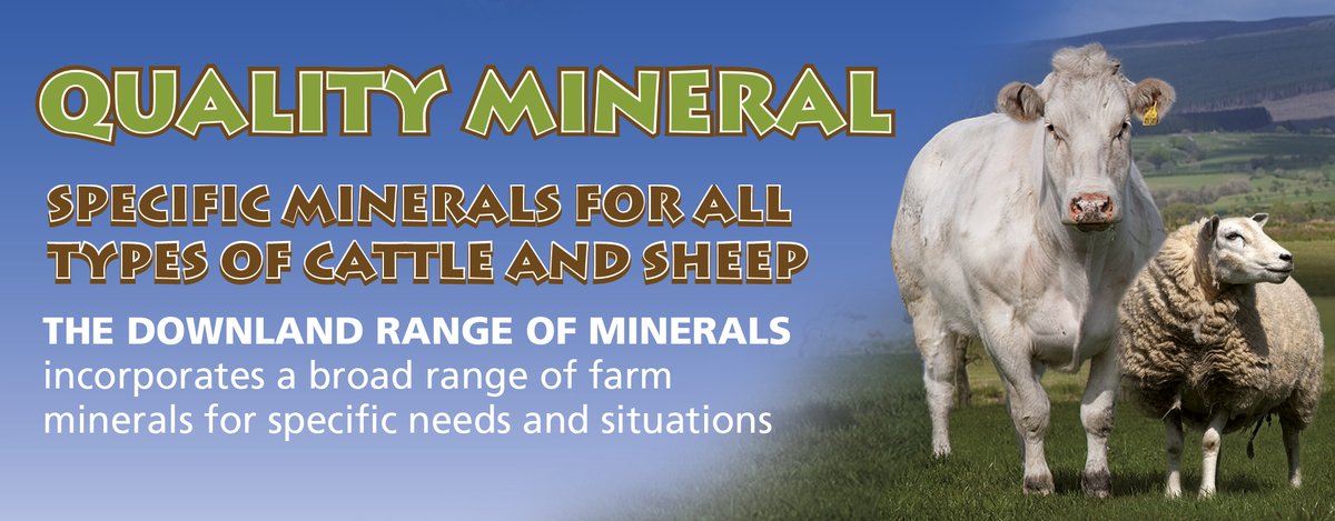 davidsonsvs's tweet photo. Free cattle &amp; sheep minerals - https://t.co/JiYB6Gpcdj https://t.co/WKjRTAg4gg