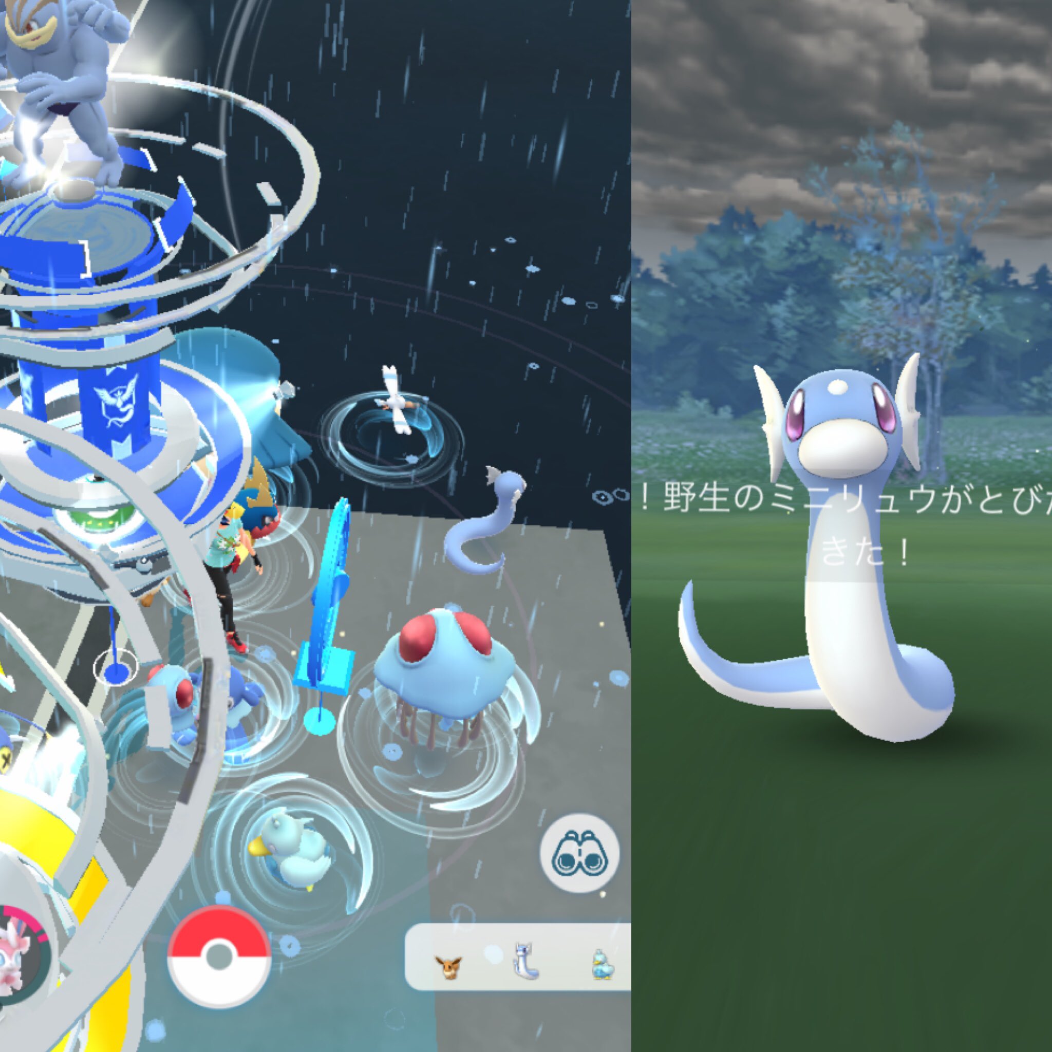 Mlle463 ポケモンgo 水場ウロチョロ勢 Mlle463 Twitter