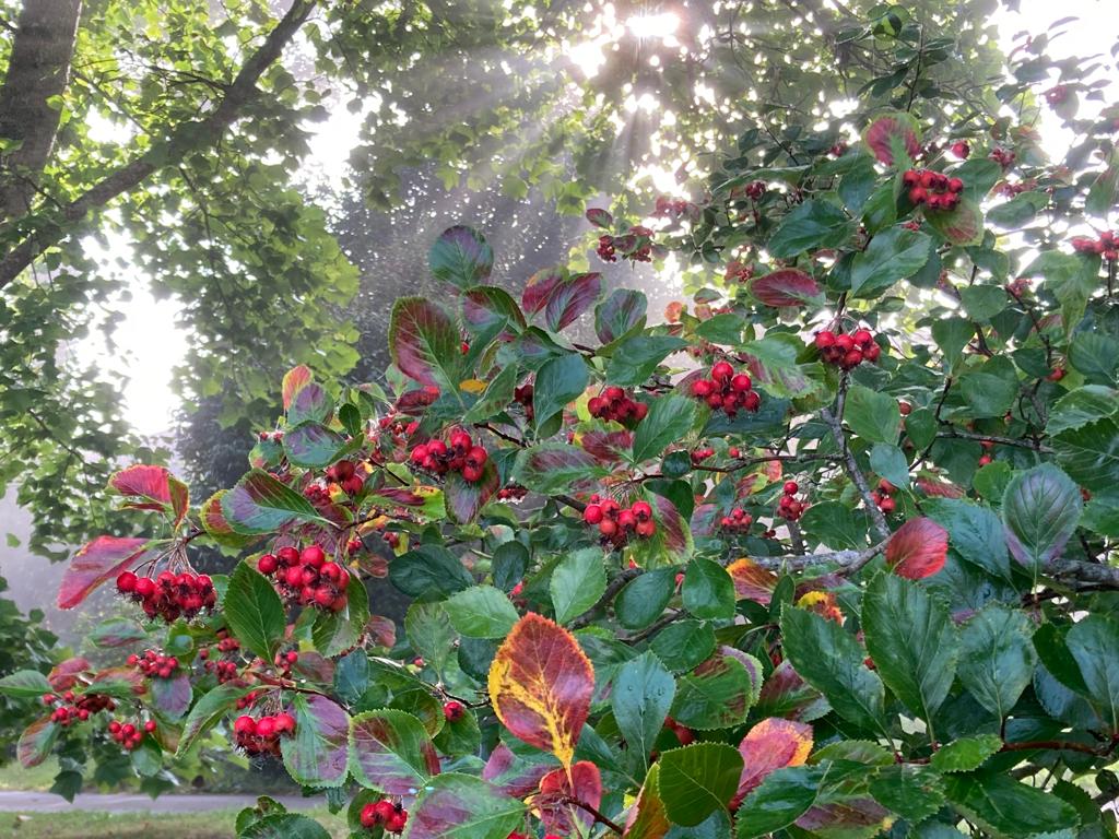 thebaytrust's tweet photo. Today is the Autumn equinox- the definitive end of summer and beginning of one of the most beautiful seasons. Happy Equinox everyone!🍂
Take it from us, the colder seasons are much more enjoyable when you spend time out of doors.
#autumnequinox #autumndays #kentautumn https://t.co/qi9Pdj8n6e