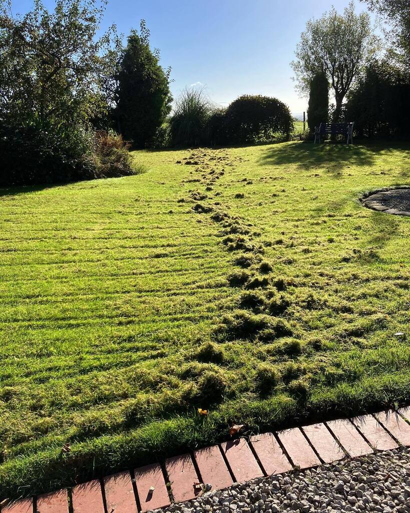 TLCBury's tweet photo. Let’s scarify #scarify #scarifinfiltration https://t.co/CQqzd1DvA9