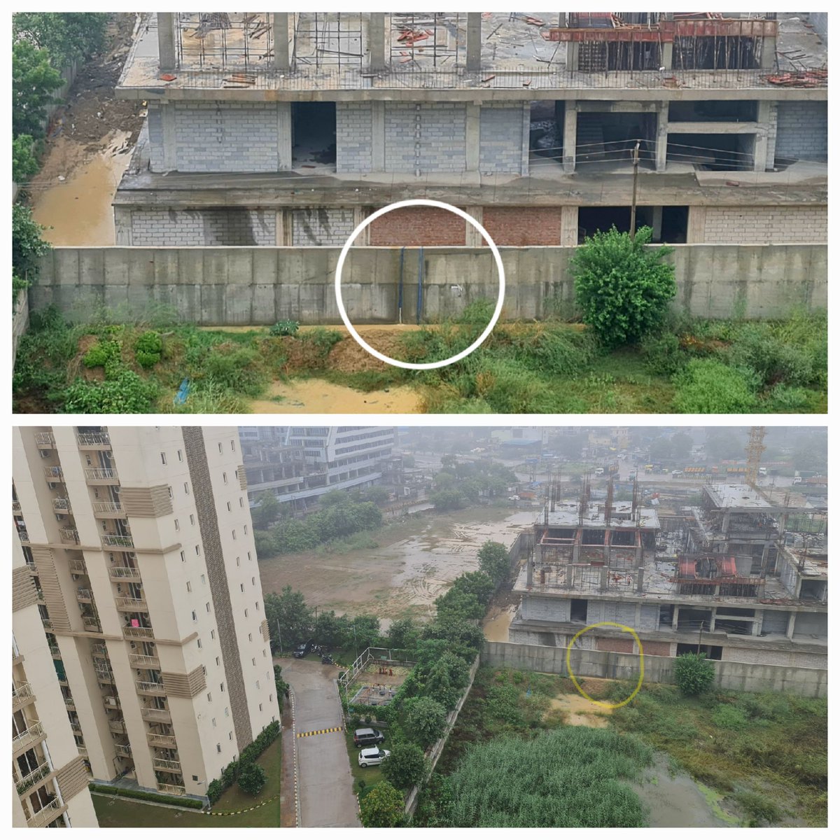 DrParikshitRao's tweet photo. STOP DUMPING WASTE MORE THAN 700 FAMILY'S LIVING HERE.
JMS Marine Square Mall,Sec-102 Dumping water/Waste in plots, CREATING BREEDING SITES FOR MOSQUITOES...DENGUE,MALARIA..
@OfficialGMDA
@MunCorpGurugram
@cmohry
@HsvpHaryana
@dtcphry
@JMSBuildtech
@indiaemaar
@sareendwarka https://t.co/jbeiYUEABn