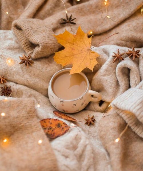 Hogwartssite's tweet photo. Bienvenido otoño 🍂 https://t.co/bZl34EBZV6
