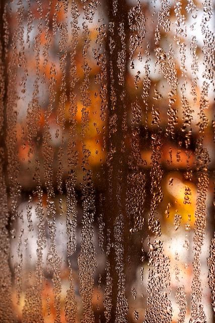 Hogwartssite's tweet photo. Bienvenido otoño 🍂 https://t.co/bZl34EBZV6