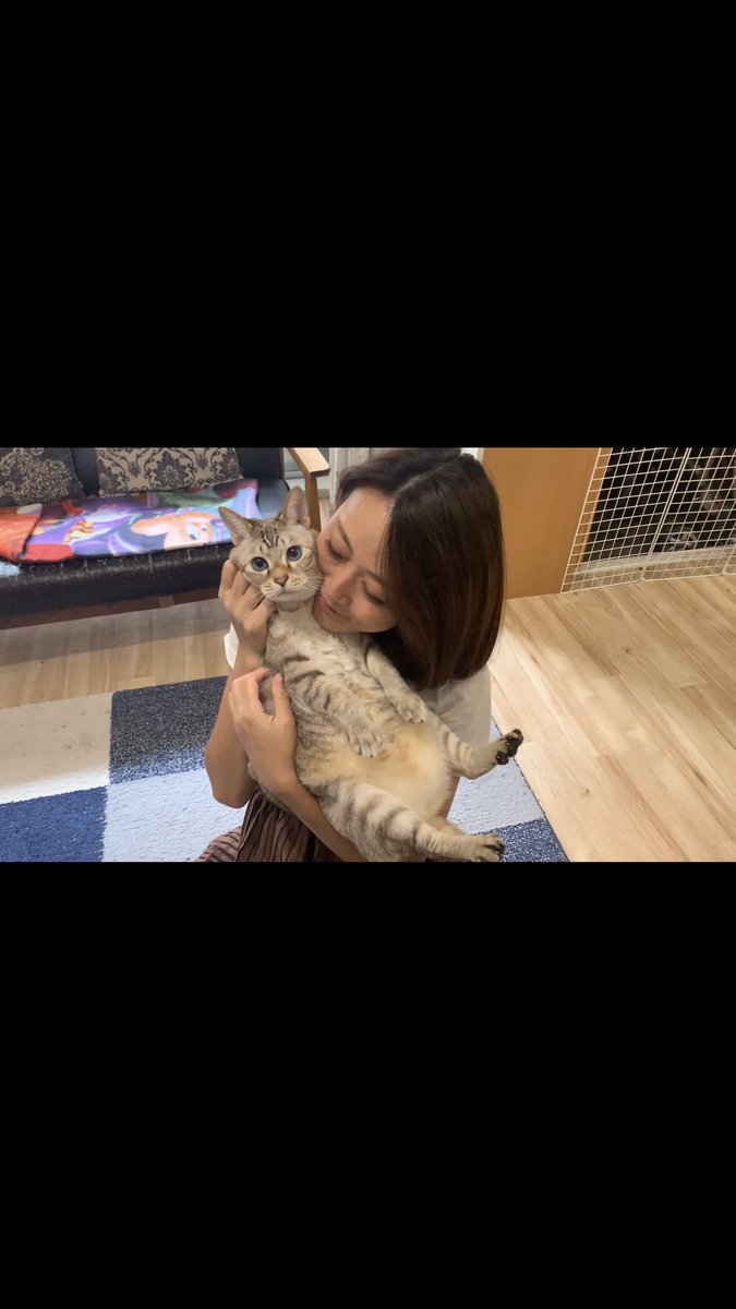 猫吸いにひたすら耐える表情が可愛いすぎた

youtu.be/AO-Wf2B6dAY