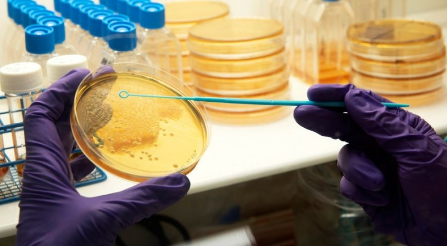 LSHTM's tweet photo. 💊 To tackle #AMR, new classes of #antibiotics are urgently needed.

But is the UK's "subscription" model for antibiotic supply helping or hindering the development pipeline?

@glover_lshtm &amp; colleagues explore in @LancetMicrobe 👇 https://t.co/whK6Zf9HjF #AntibioticResistance https://t.co/6lKblOM40Z
