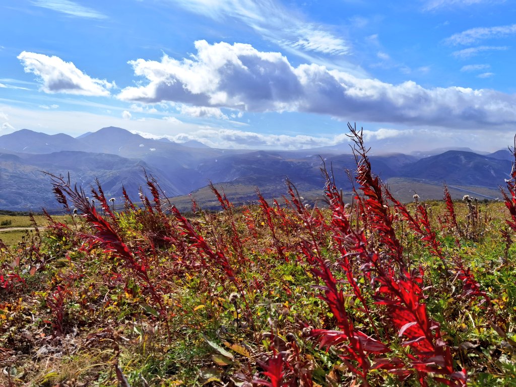 _ajimaster's tweet image. #kamchatka