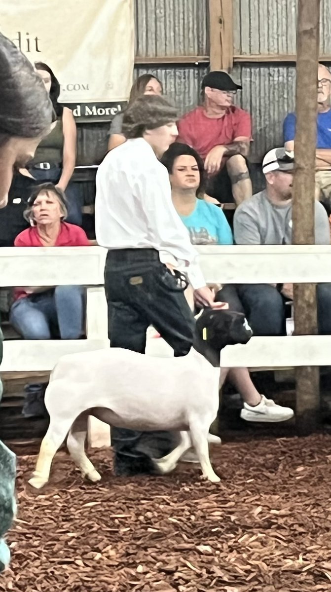 South Rowan HS showed that hard work &amp; dedication pays off at the Sheep Show 🐑last night. Congratulations 🎉 on a job well done! ⁦<a href="/MsPotter_ag/">Emma Potter</a>⁩ ⁦<a href="/SRHSRaiders/">SouthRowan</a>⁩ #FFA