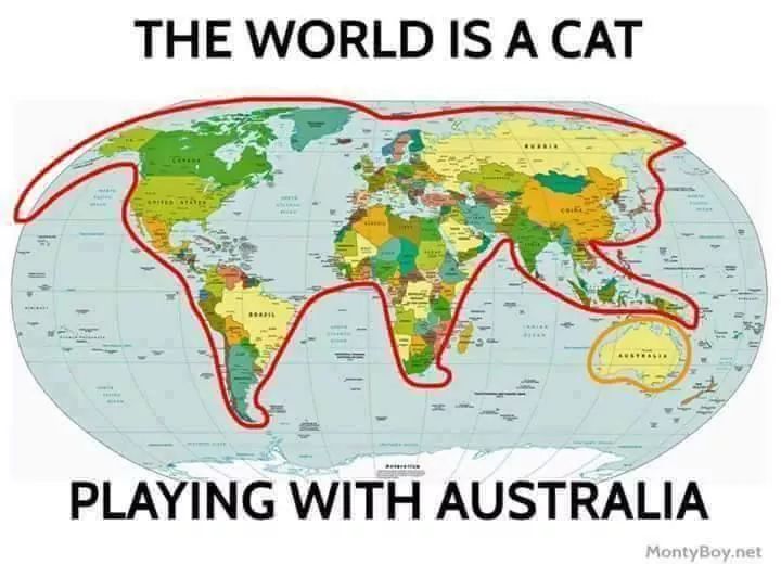 TerribleMaps's tweet image. Cat Earth Theory