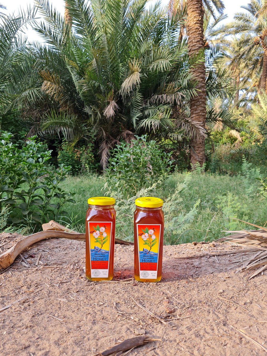 goldennectar1's tweet photo. كل عام و وطنا بخير 😍🇸🇦 https://t.co/7RiUr9Q6tu