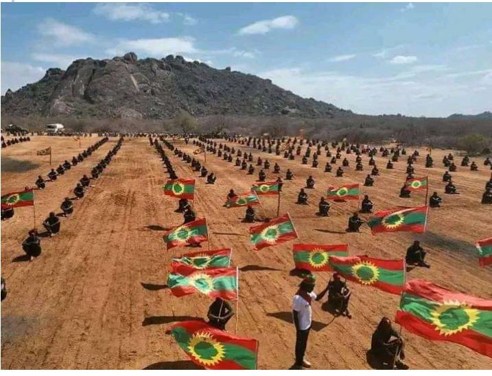 Gahoon gahe gahe yoona
Waloon yaa'e sona sona,
Baareentu yaame Boorana,
Ife ife bari'e keenya barana!
#Tokkummaa
#Kutannoo
#Hidhannoo
#Xiiqii
#Kaayyoo!
#WBO!