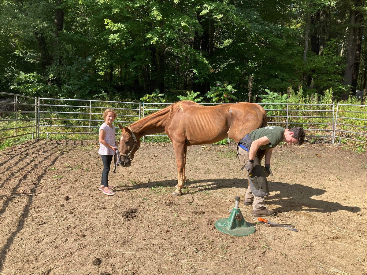 $5 Friday! This week we have had the dentist out again, farrier and one poor sweet emaciated senior arrive. With your $5 that helps with dental, farrier, supplements, grain and hay. You can donate

Venmo heartandhoovesrescue 

Paypal or Credit Card
paypal.com/donate/?cmd=_s…