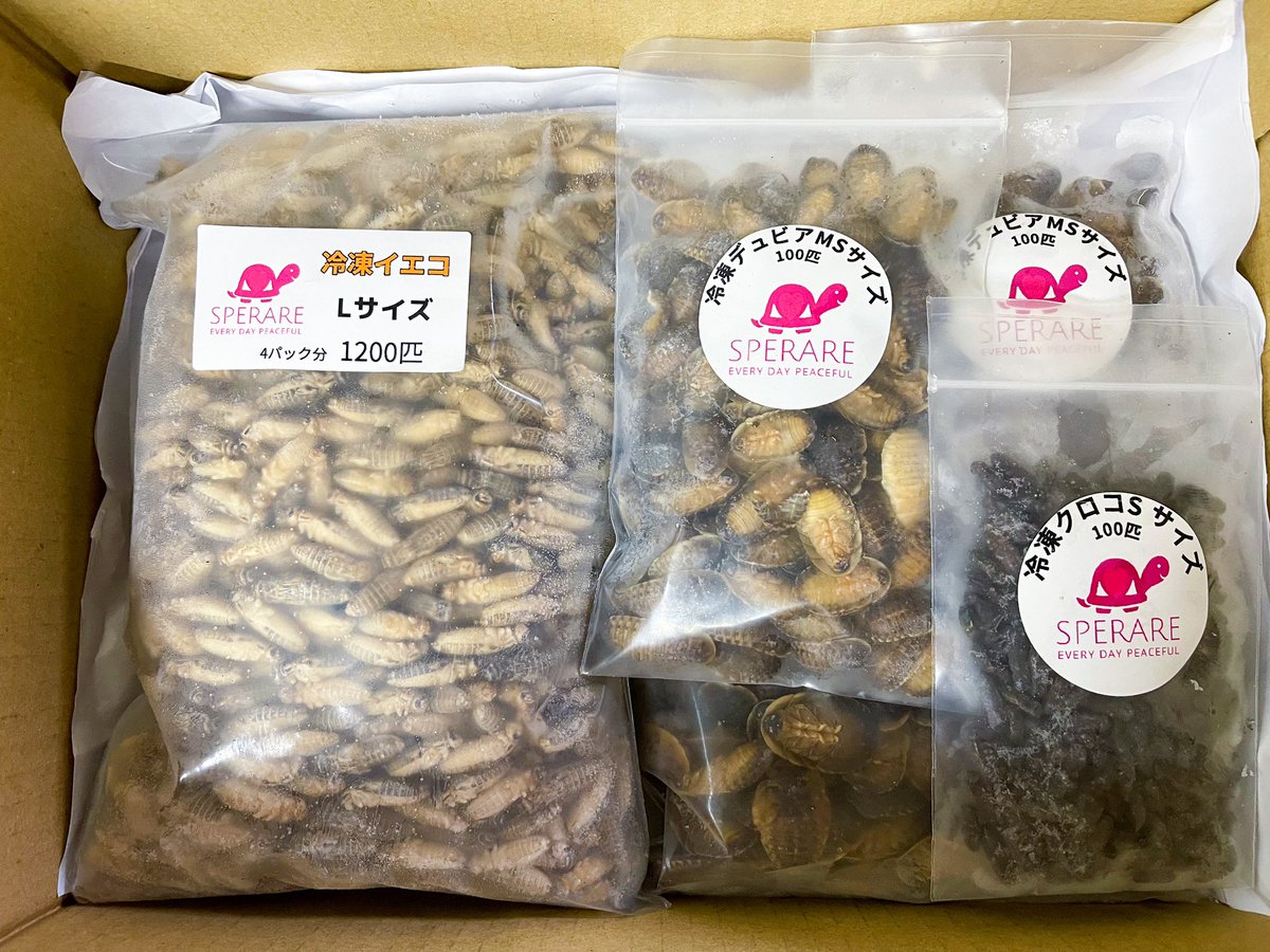 REP_SPERARE's tweet photo. 今日中にご注文頂いた分の発送をガッツリ行いまして明日9/24〜25の2日間臨時休業を頂きます。
栃木県の名産や美味しいお店知ってらっしゃいましたら是非教えて下さい。
レモン牛乳は沢山飲むつもりです😊🍋
#爬虫類餌
#冷凍餌通販
#冷凍コオロギ
#冷凍クロコ
#冷凍イエコ
#冷凍デュビア
#MonitorFeed https://t.co/xPzvRIjpHG