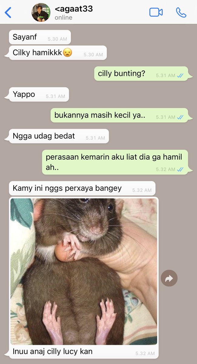 NAAMER1CAN0's tweet photo. — Efek samping setelah dinner

cw // pict rat 

; Na Jaemin ft. NCT SKZ 00 Line AU,
From Jij bent mooi universe
by NAAMER1CAN0 https://t.co/DpKI2EMDgL