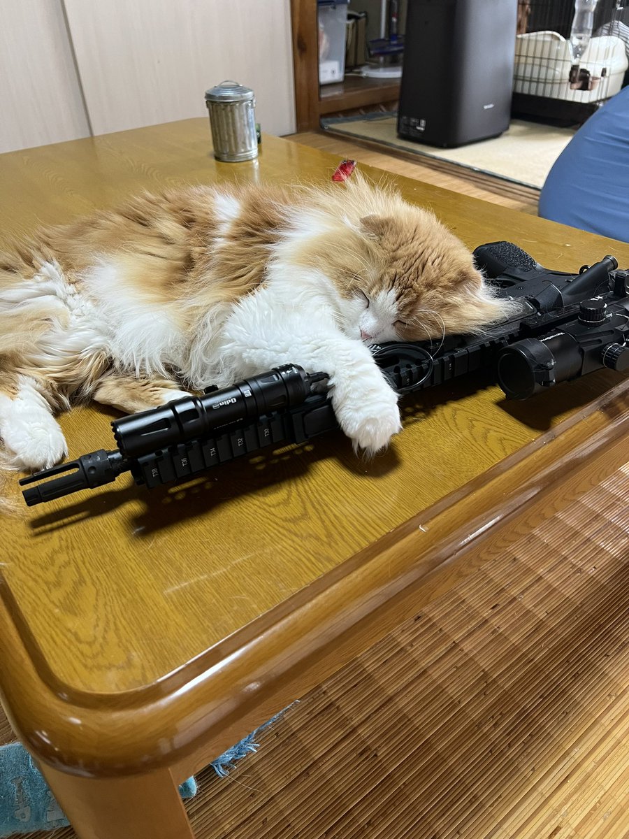 papa3_com's tweet photo. @art_mfct 以前Twitterにアップして割と反響のあったヤツです😊 https://t.co/91d3QvVJCW