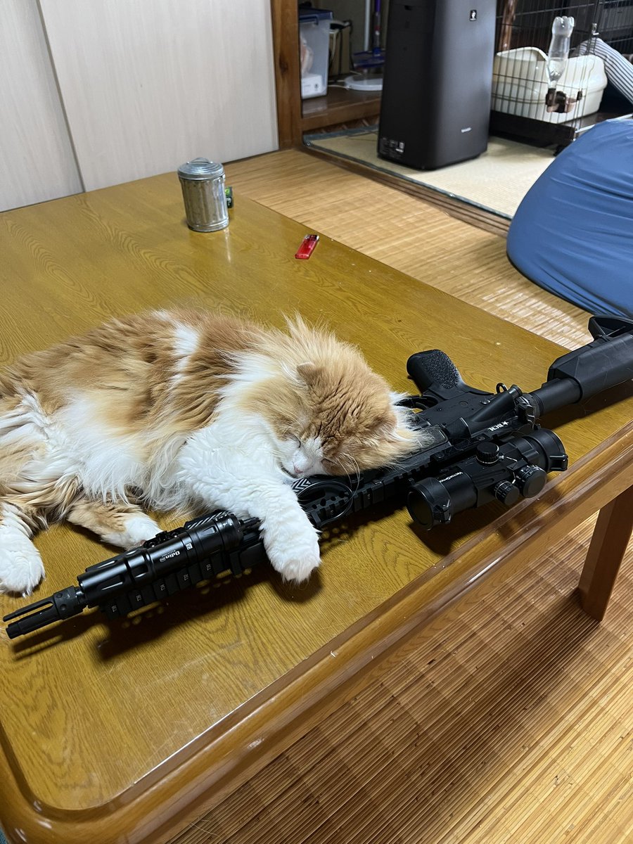 papa3_com's tweet photo. @art_mfct 以前Twitterにアップして割と反響のあったヤツです😊 https://t.co/91d3QvVJCW